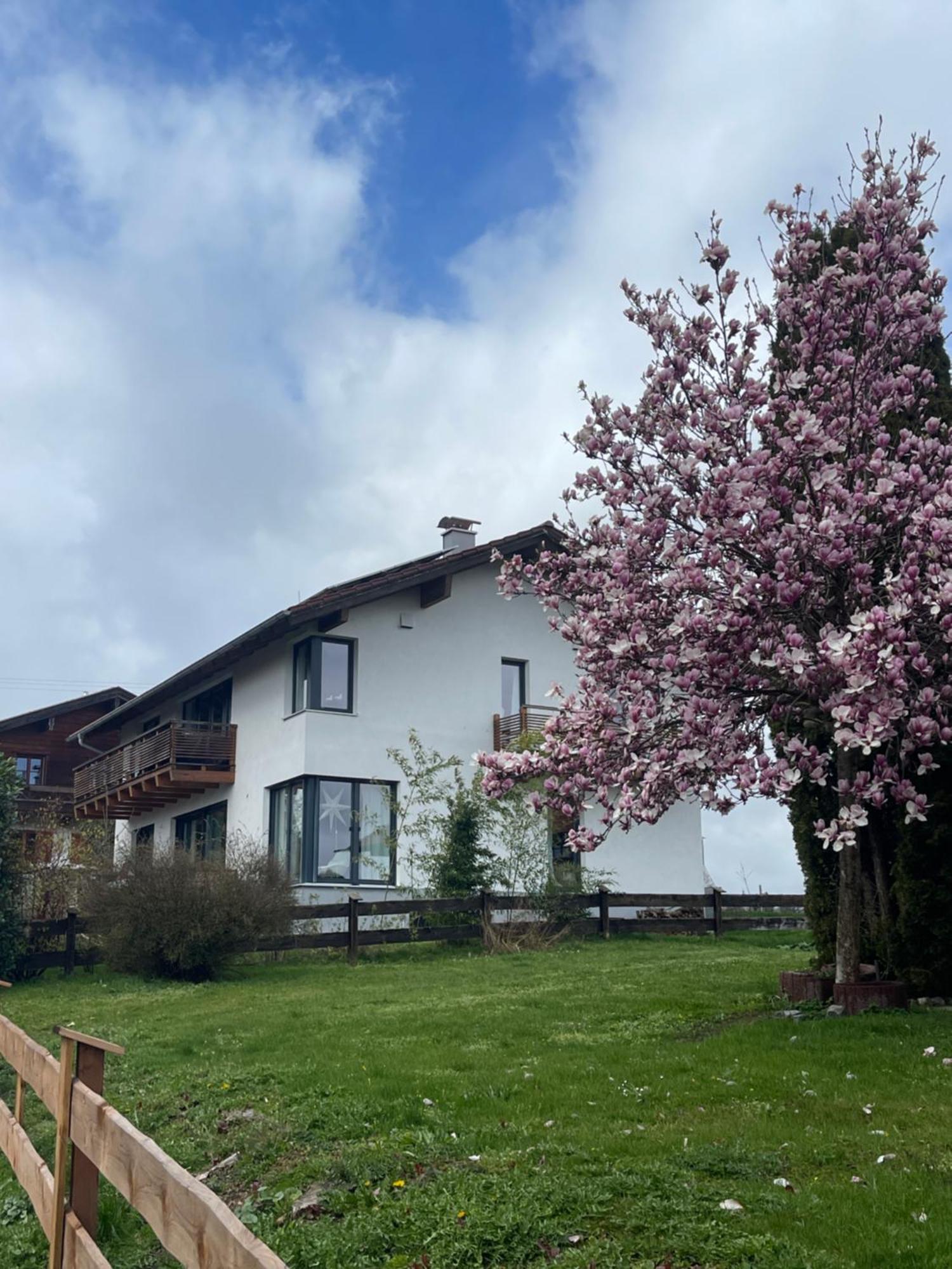 Appartment 53Qm Im Architektenhaus - 2 Schlafzimmer Mit Kueche Und Bad, Nur 2Min Von A8 - Ruhig Und Modern Irschenberg Kültér fotó